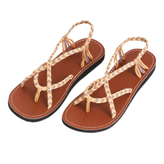 AUTUMN-ARABIAN-SAND