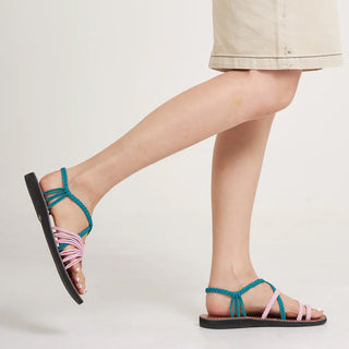 EXPLORE-FLAMINGO-TEAL