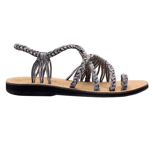 EXPLORE-ZEBRA-TWIST