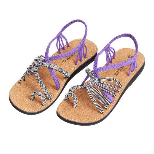 EXPLORE-PURPLE-ZEBRA
