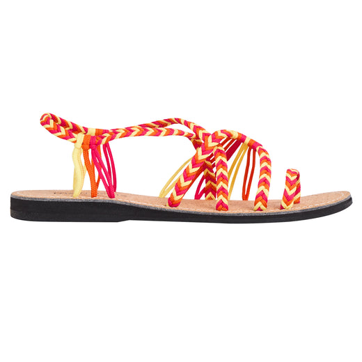 EXPLORE-SEASONAL TROPICAL
