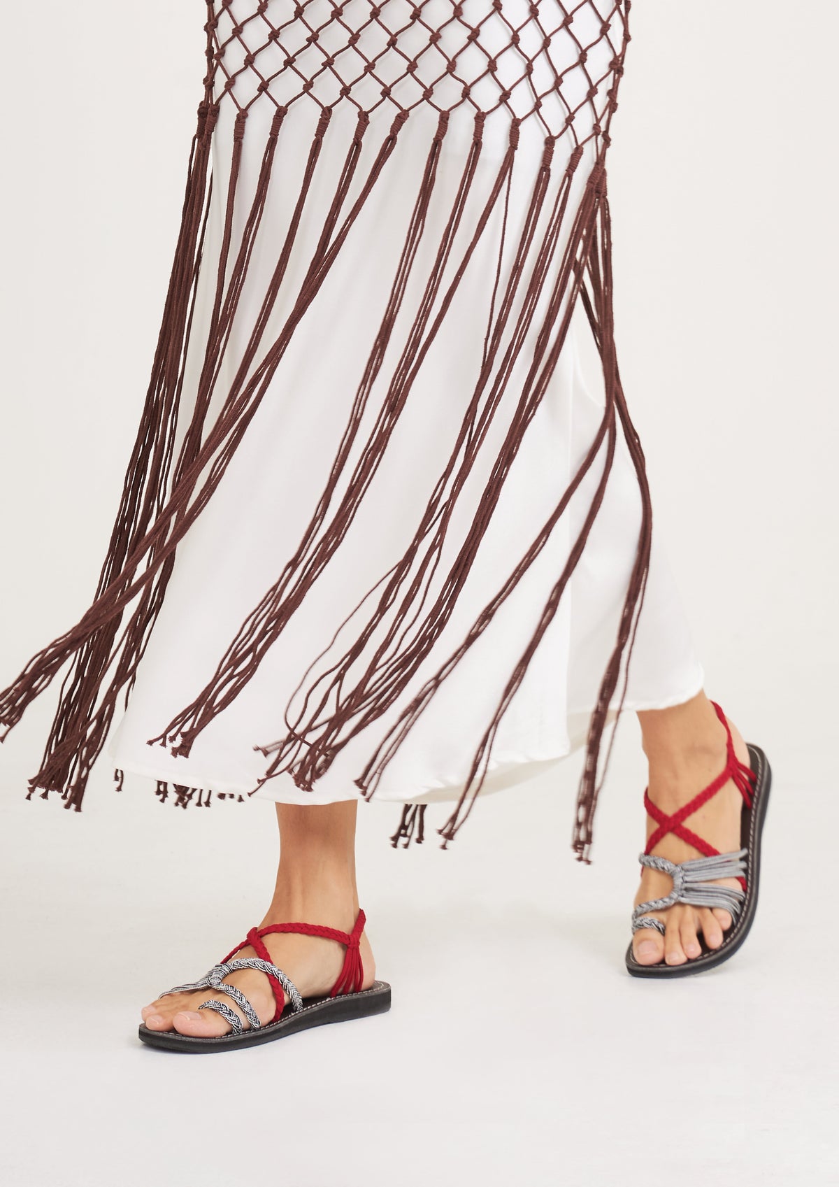EXPLORE-RED-ZEBRA